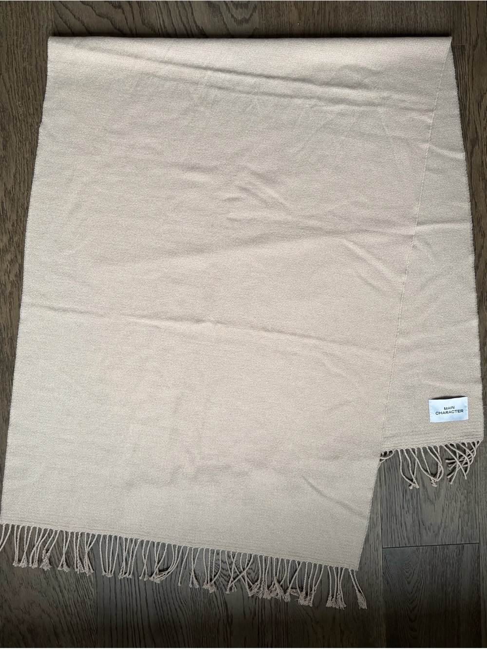 Aritzia Main Character Blanket Scarf